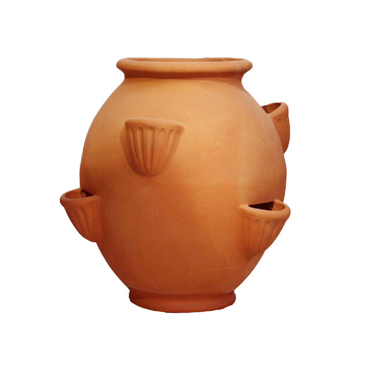 Serola con Tasche