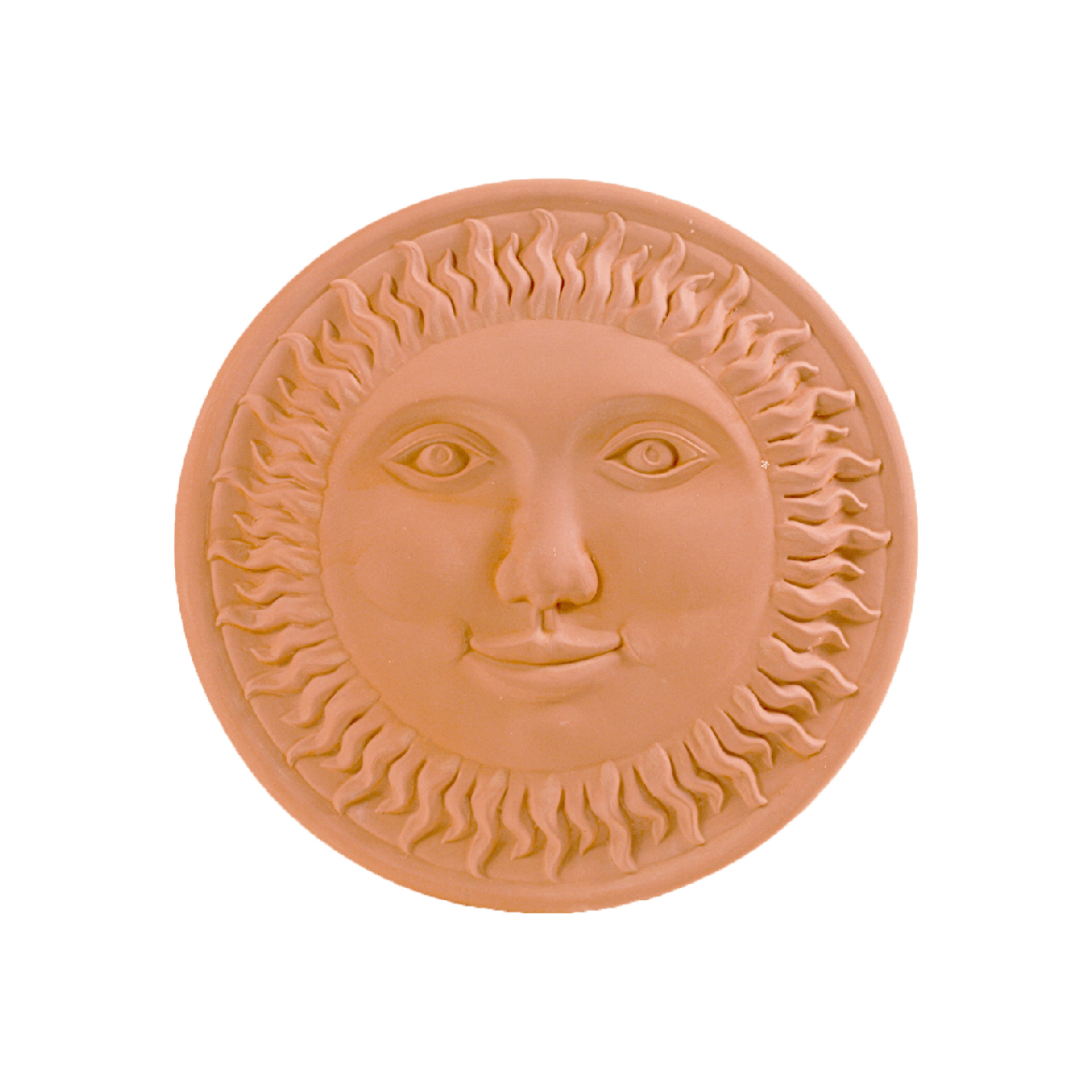 sole